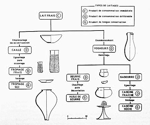 Chaîne simplifiée des laitages en Orient, extraite de Gouin Ph., Sources, principes et techniques de l'archéologie des laitages. In: Terre cuite et société, 1994, fig. 2.